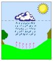 真冬の雨は大っ嫌いスよ！