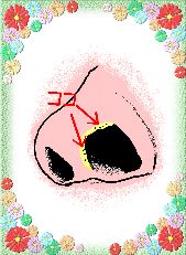 しかも剛毛率が高い