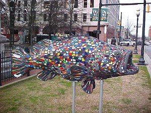 anderson-fish-tile