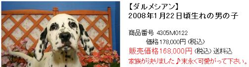 ダルメシアン