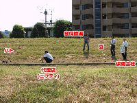 相関図