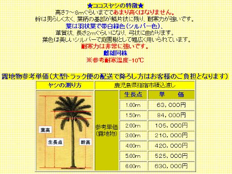 ココスヤシお値段